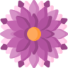 BB体育下载 logo