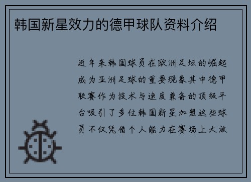 韩国新星效力的德甲球队资料介绍